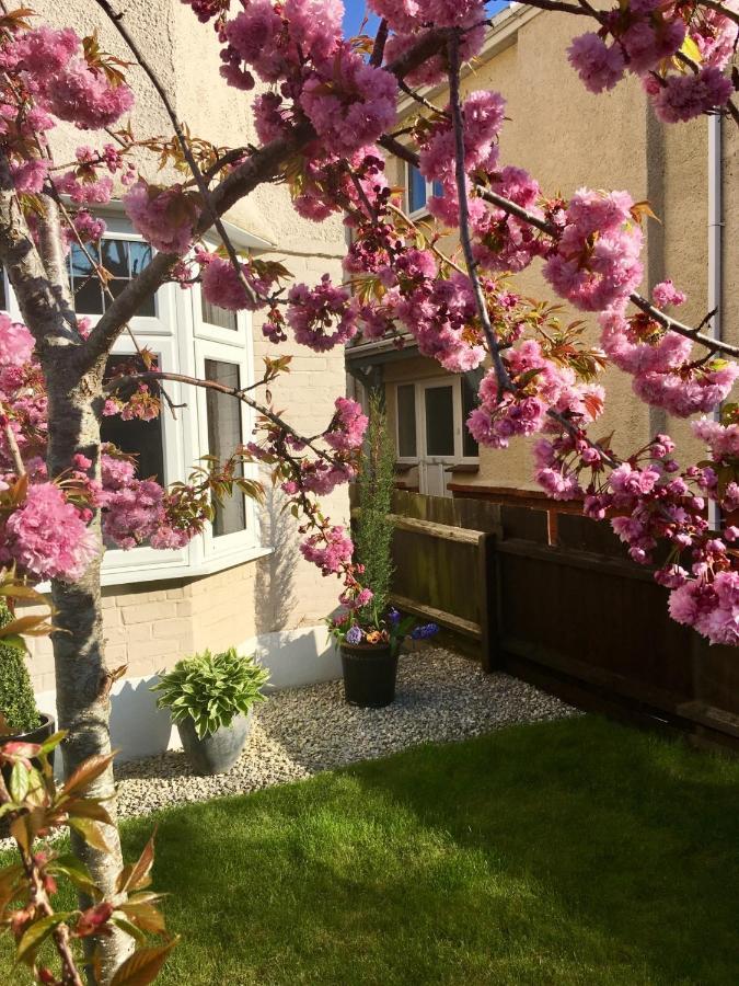 Cherry Tree House Bed and Breakfast Μπόρνμουθ Εξωτερικό φωτογραφία